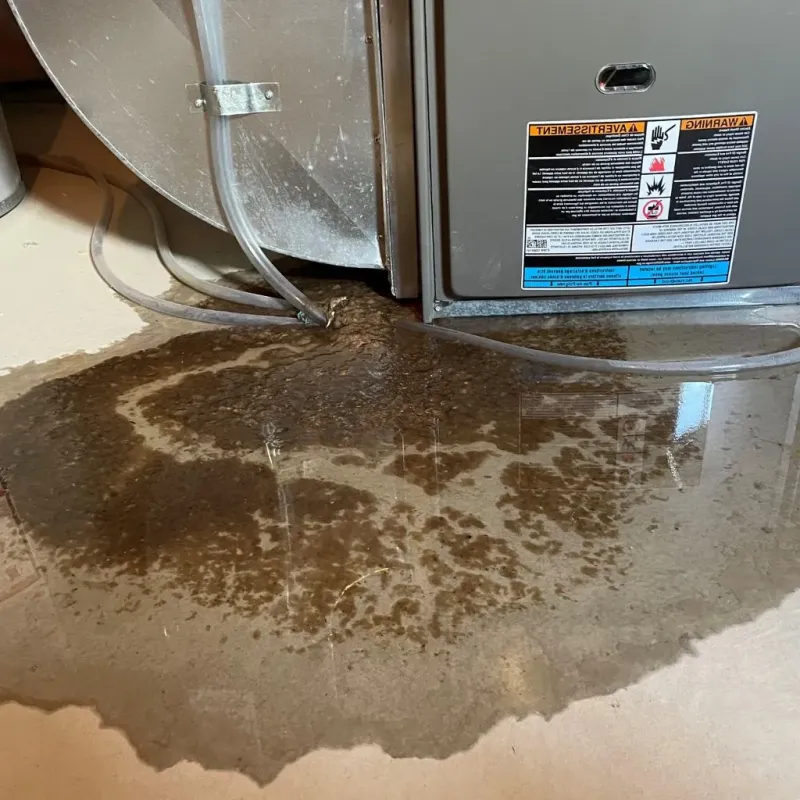 Pipe Burst and Leak Restoration in Chittenden, VT