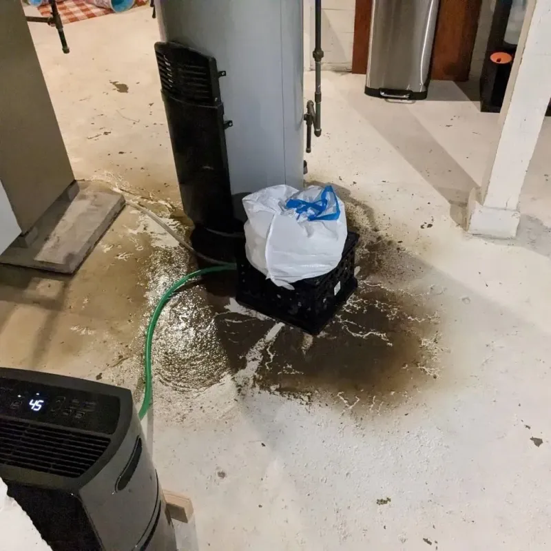 Sewage Backup Cleanup Service in Chittenden, VT